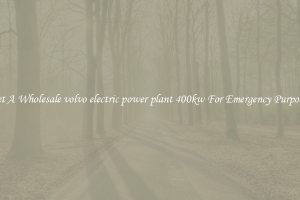 Get A Wholesale volvo electric power plant 400kw For Emergency Purposes