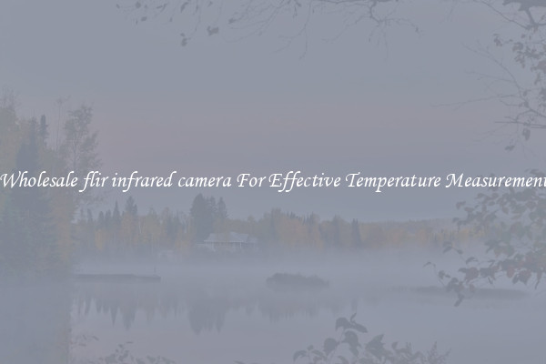 Wholesale flir infrared camera For Effective Temperature Measurement