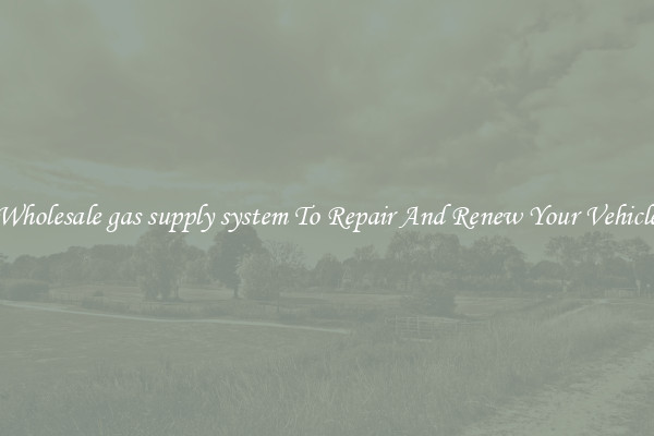Wholesale gas supply system To Repair And Renew Your Vehicle