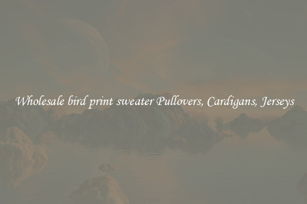 Wholesale bird print sweater Pullovers, Cardigans, Jerseys