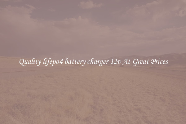 Quality lifepo4 battery charger 12v At Great Prices