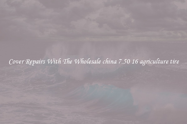  Cover Repairs With The Wholesale china 7.50 16 agriculture tire 