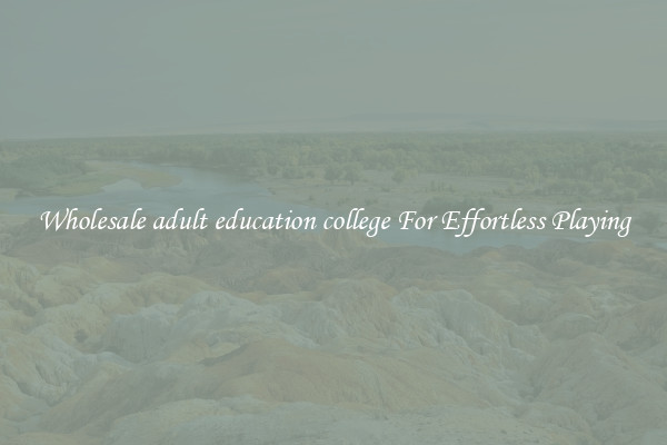 Wholesale adult education college For Effortless Playing