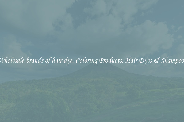 Wholesale brands of hair dye, Coloring Products, Hair Dyes & Shampoos