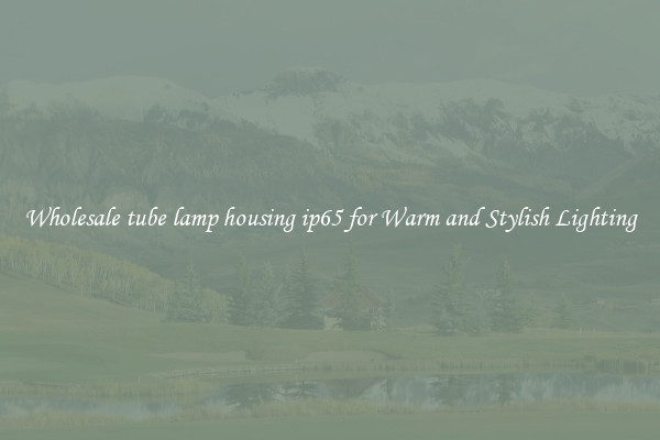 Wholesale tube lamp housing ip65 for Warm and Stylish Lighting