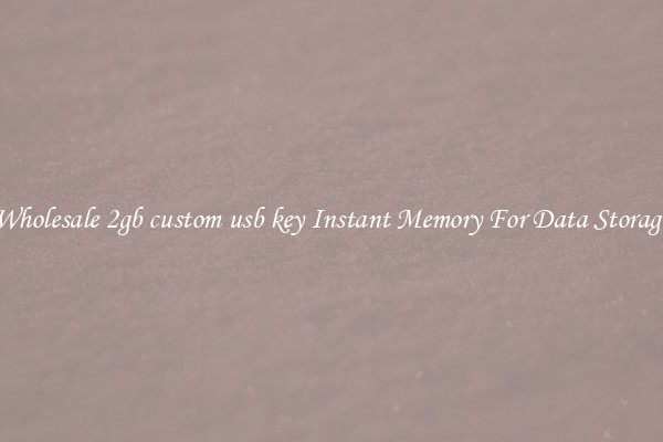 Wholesale 2gb custom usb key Instant Memory For Data Storage