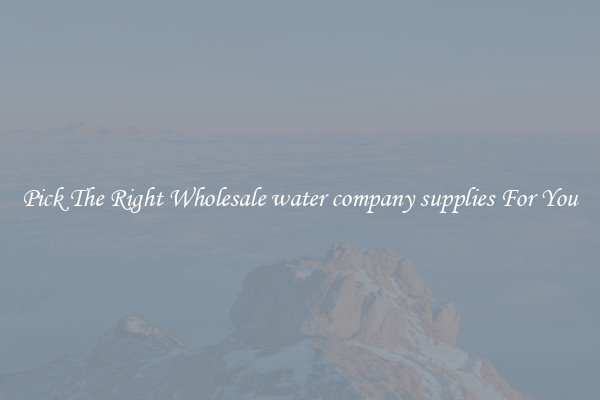 Pick The Right Wholesale water company supplies For You