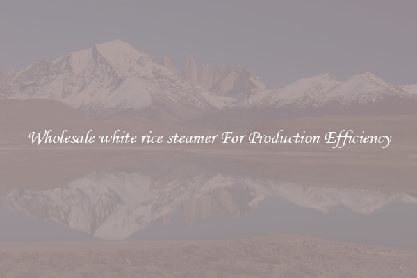 Wholesale white rice steamer For Production Efficiency