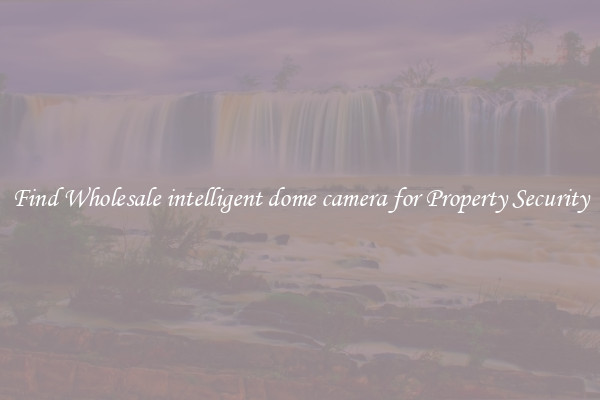 Find Wholesale intelligent dome camera for Property Security