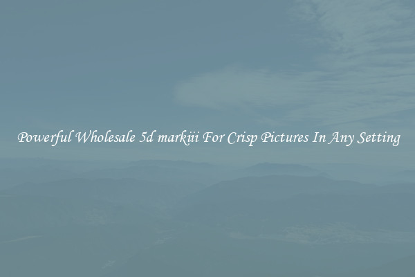 Powerful Wholesale 5d markiii For Crisp Pictures In Any Setting
