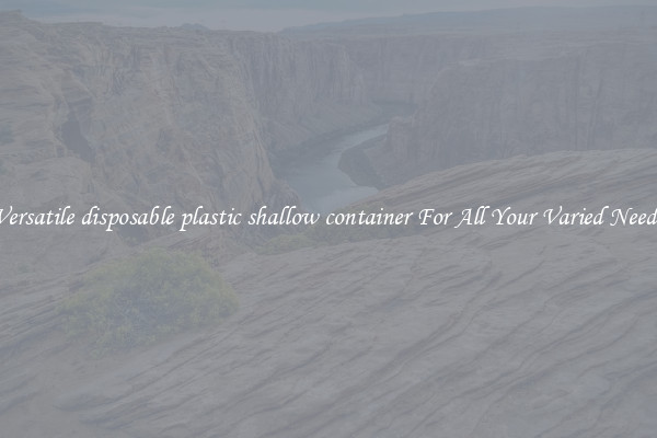 Versatile disposable plastic shallow container For All Your Varied Needs